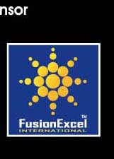 Fusion Excel_The Big Four